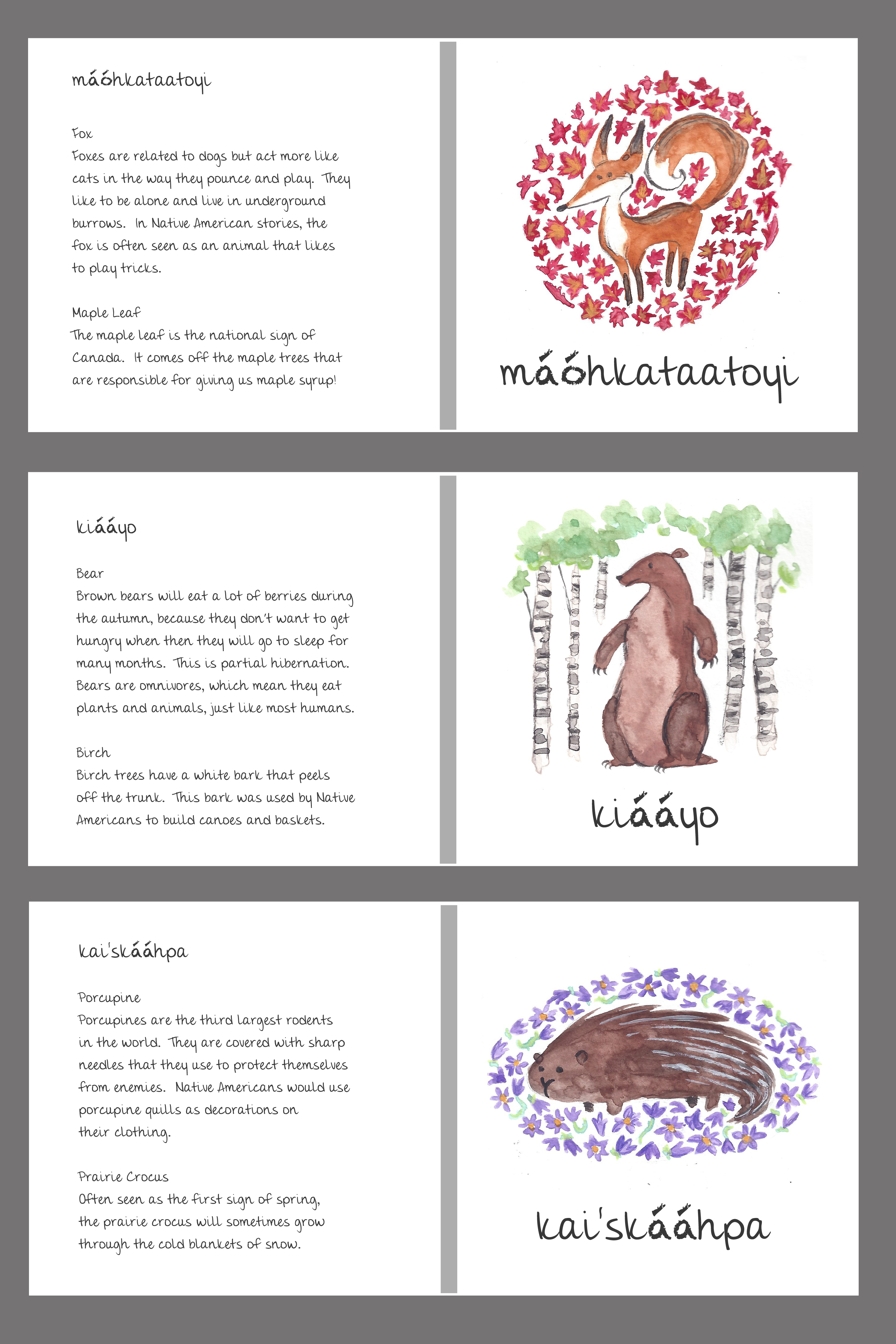 Blackfoot animal words