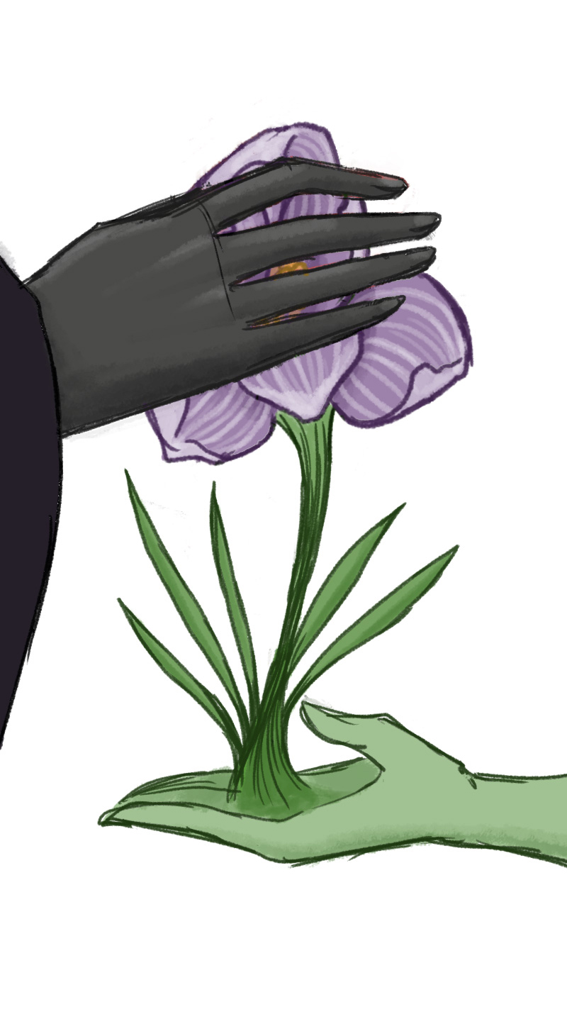 Asphodel-2